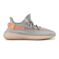 Adidas Yeezy Boost 350 v2 True Form
